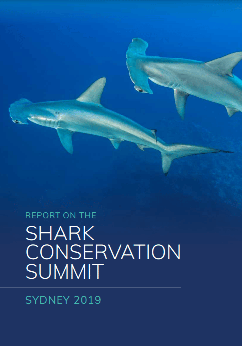 Report on the Shark Conservation Summit
