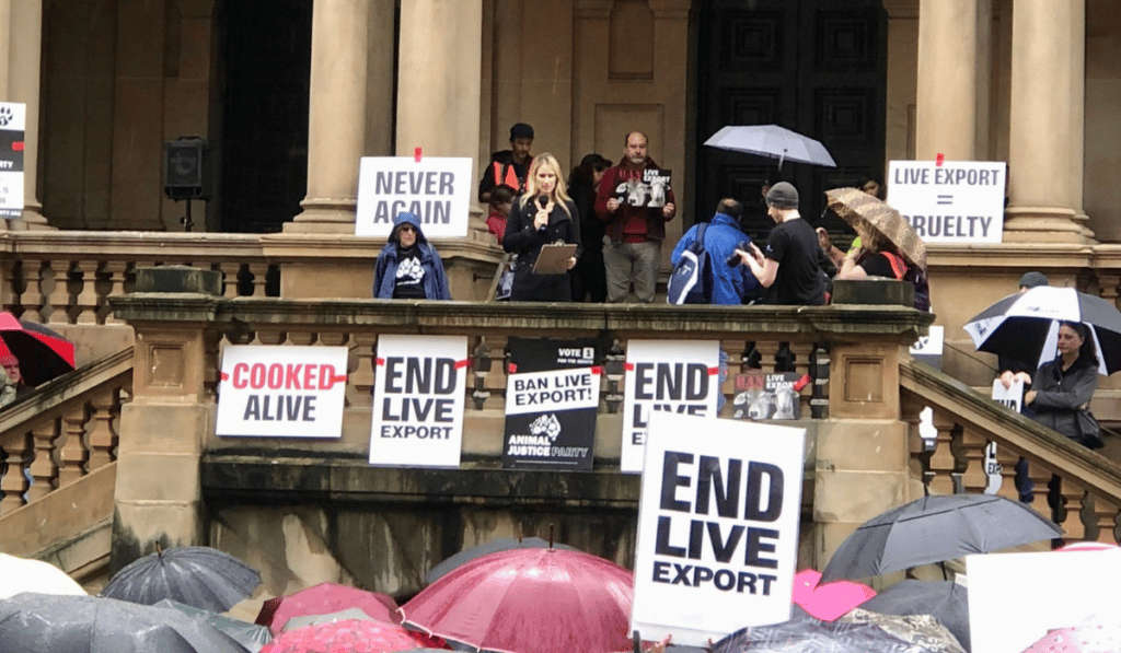Georgie Dolphin speaking at a rally against live export