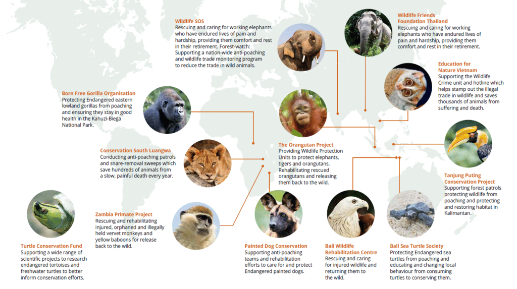 International Wildlife Humane Society International (HSI)