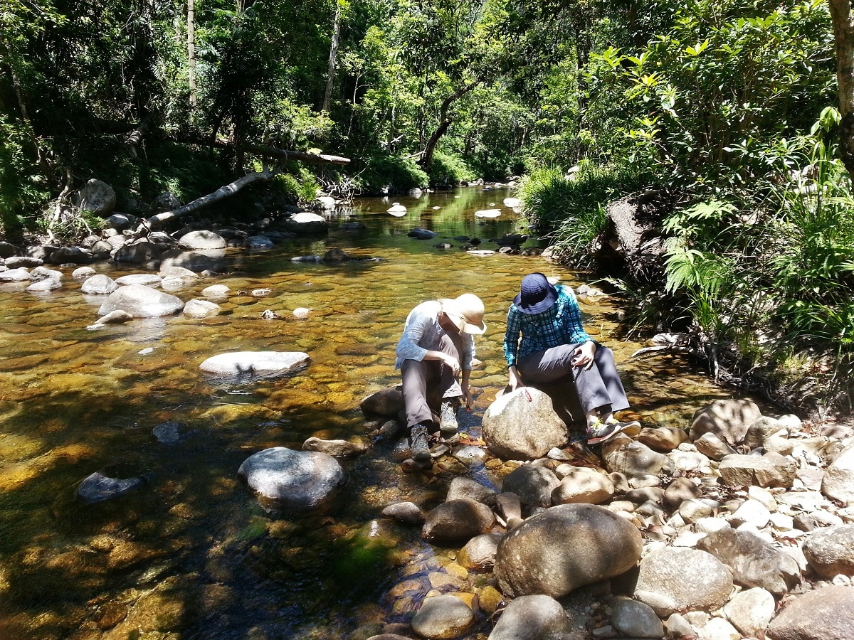 Kennedy Springs - Humane World for Animals