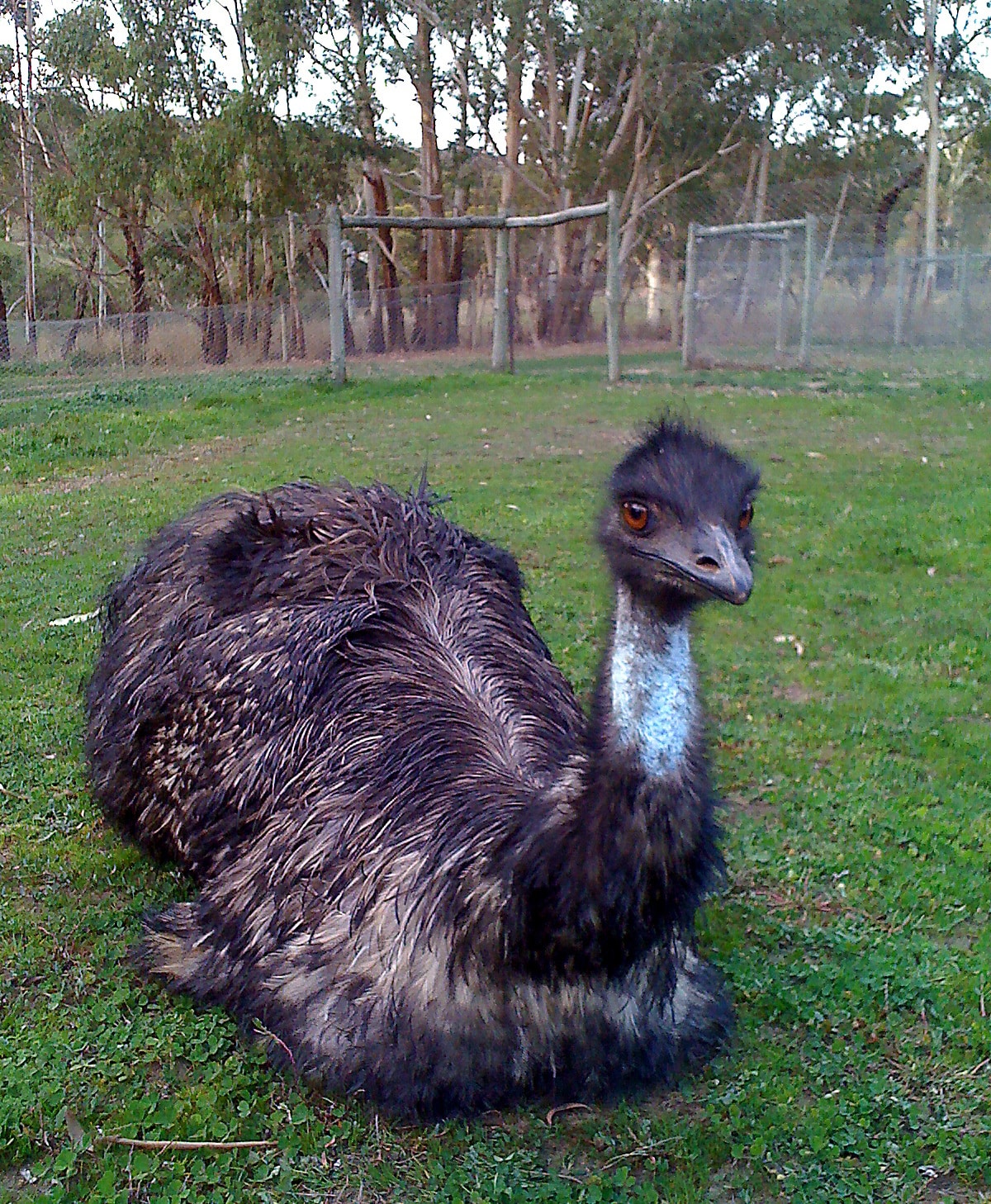 Minton Farm Humane Society International (HSI)