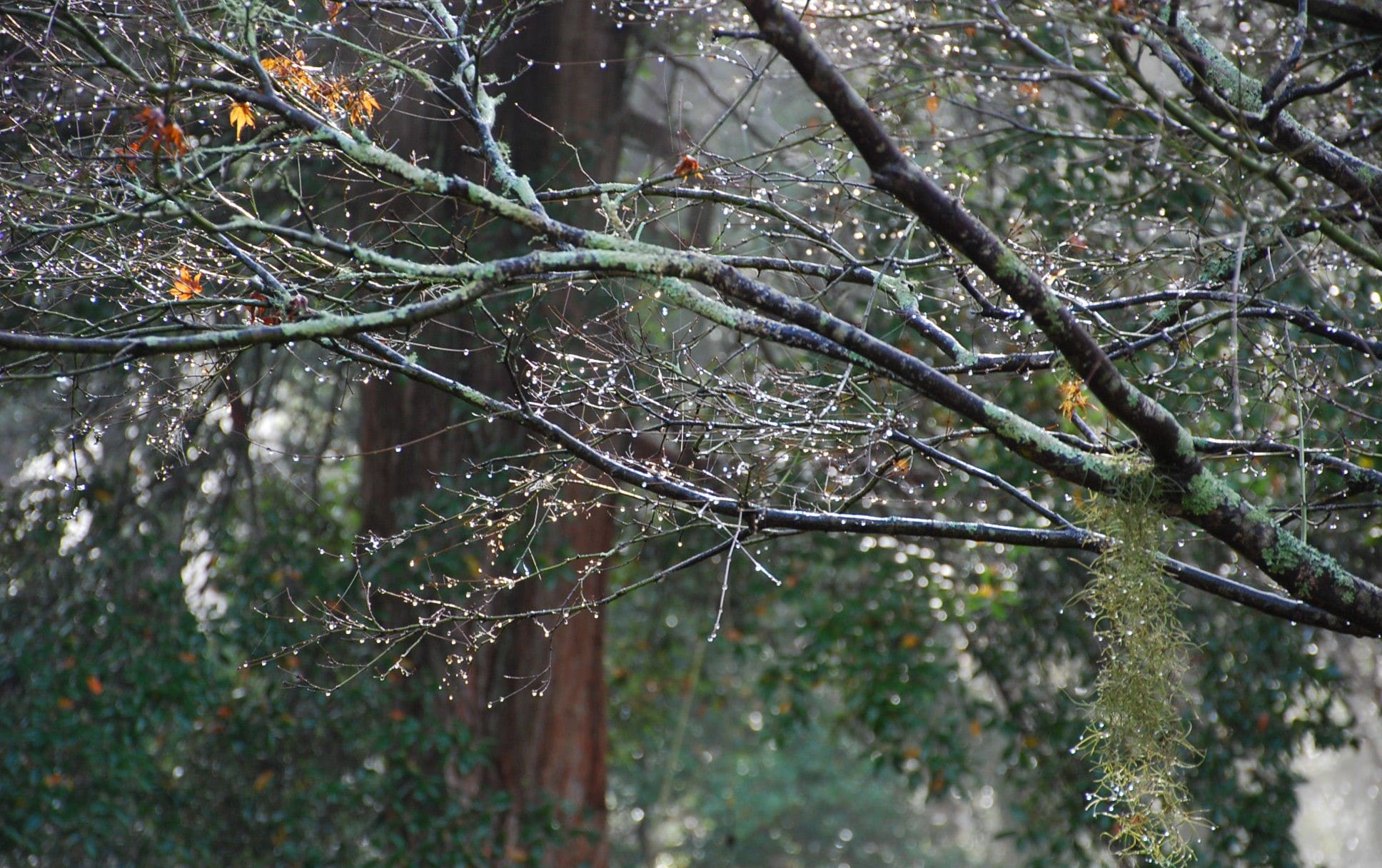 Wildside Sanctuary Humane World For Animals