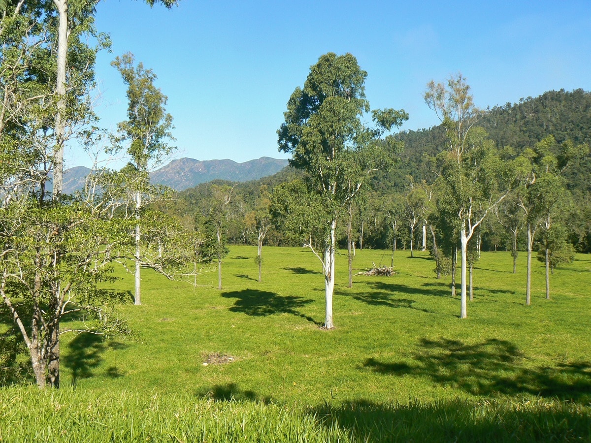 Kennedy Springs - Humane World for Animals