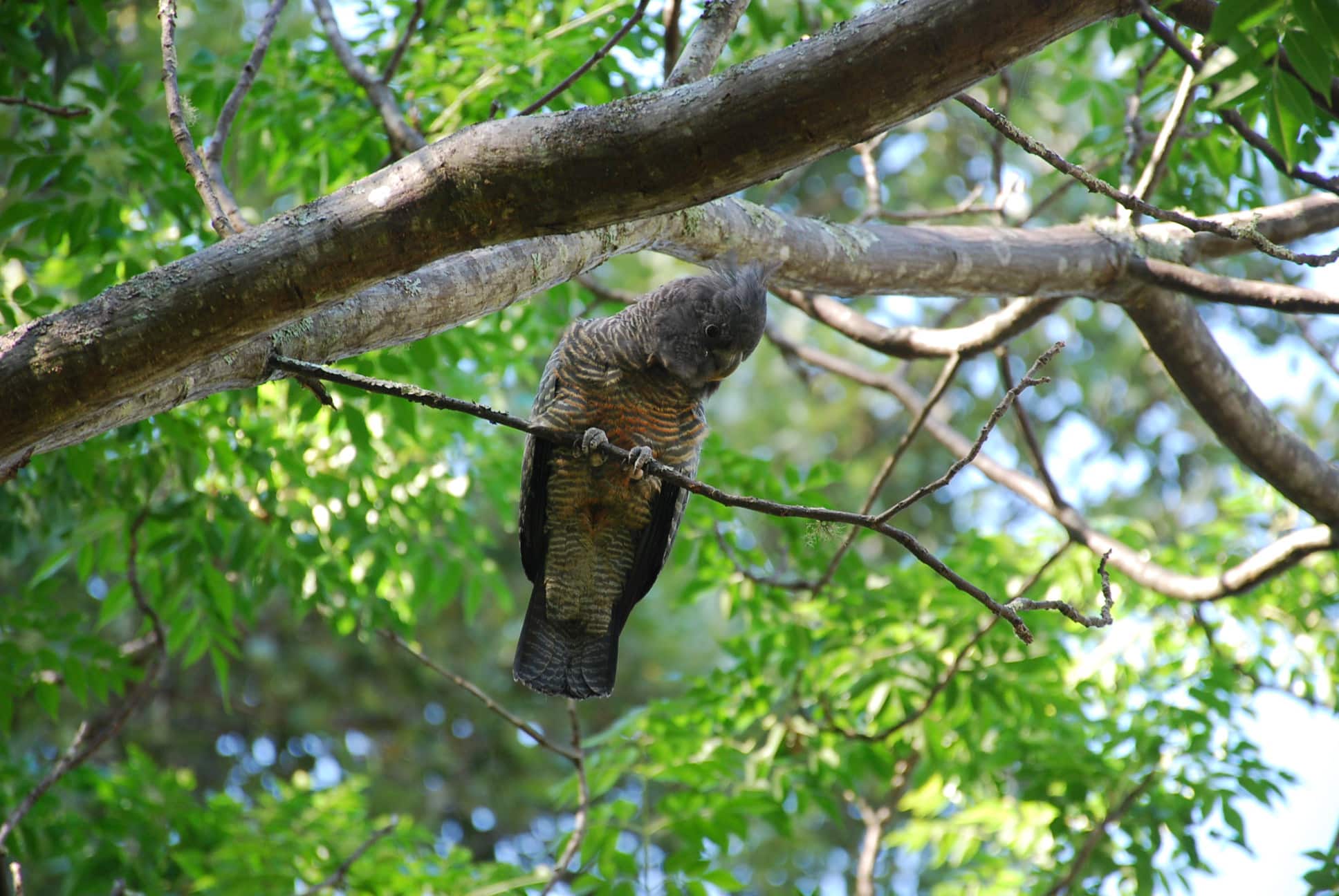 Wildside Sanctuary Humane World For Animals