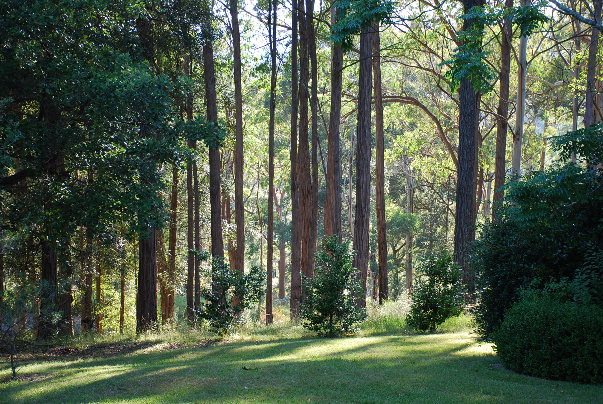 Wildside Sanctuary Humane World For Animals