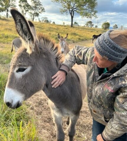 Guardian donkeys an essential tool in Predator Smart Farming