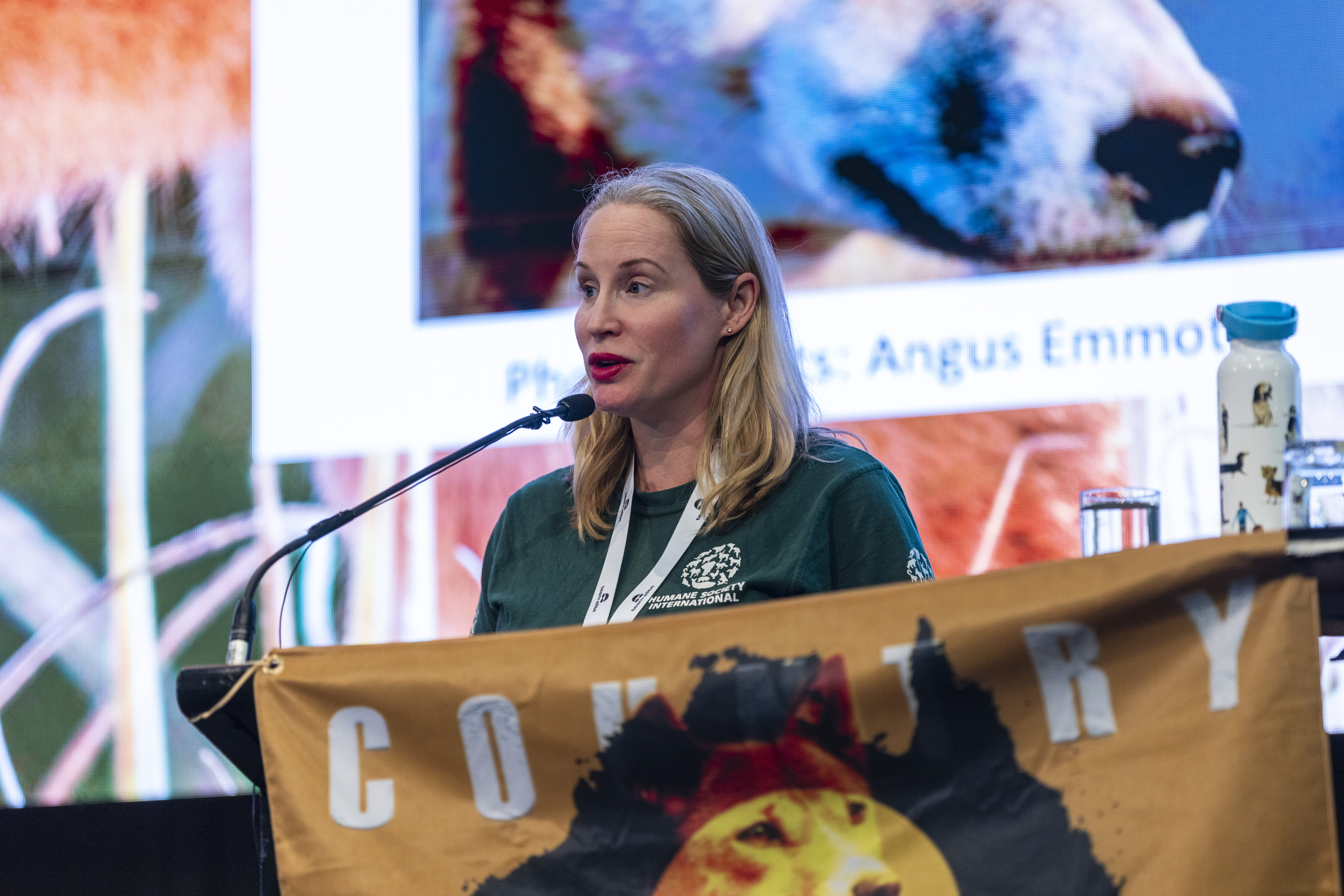 Enhancing dingo protection at the First Nations Dingo Forum
