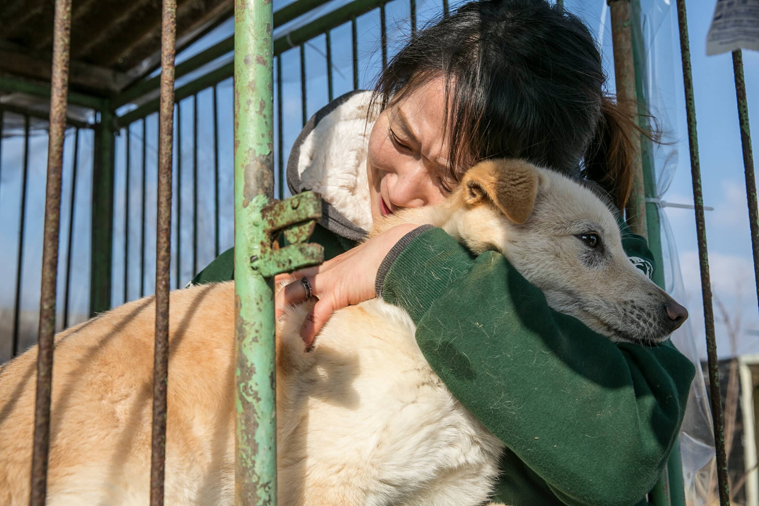 South Korea announces plan to ban dog meat industry by 2027