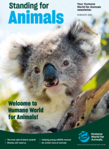 Standing for Animals Newsletter Feb 2025 Cover