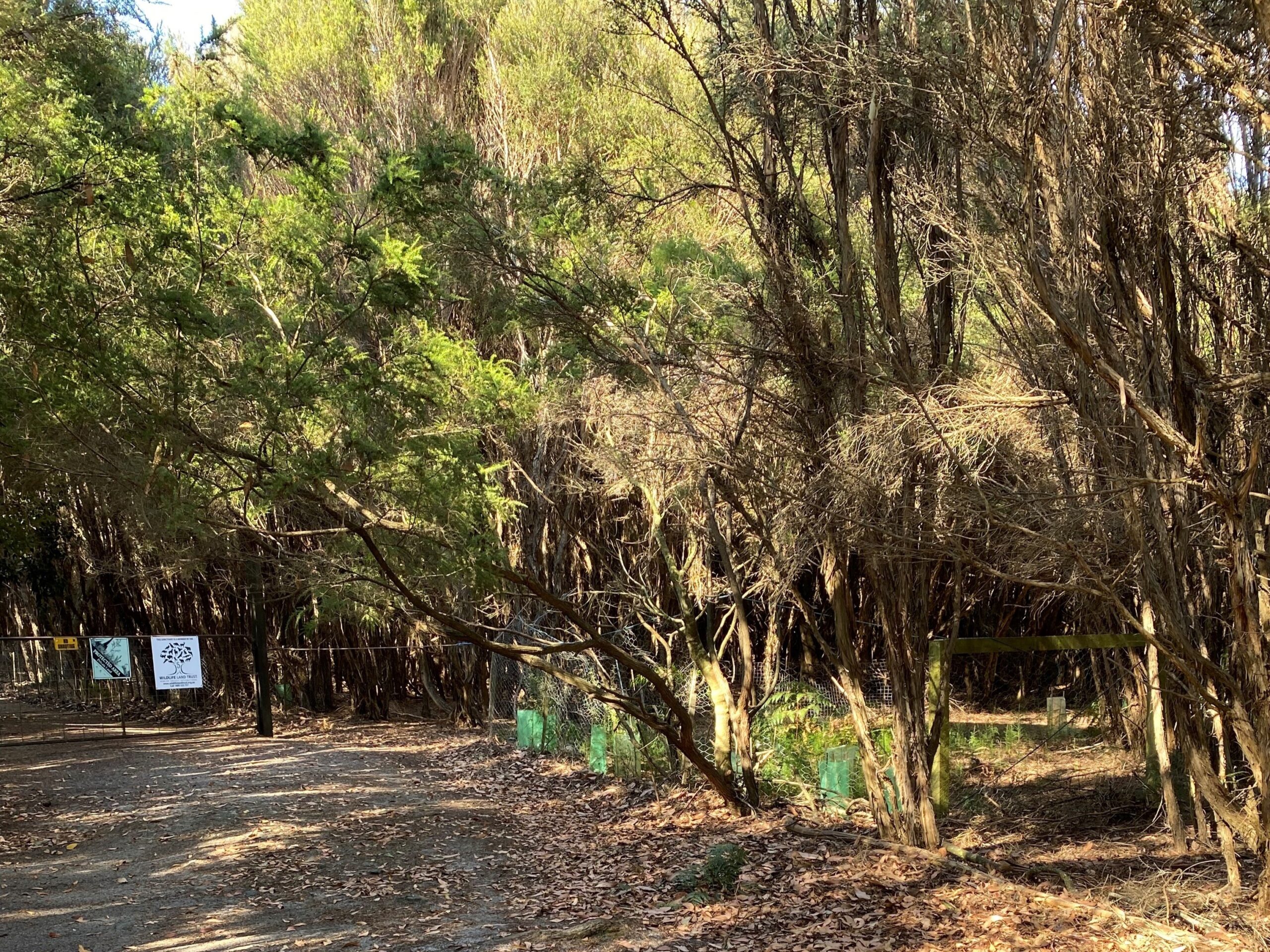 Threatened ecological community profile: The King Island Scrub Complex