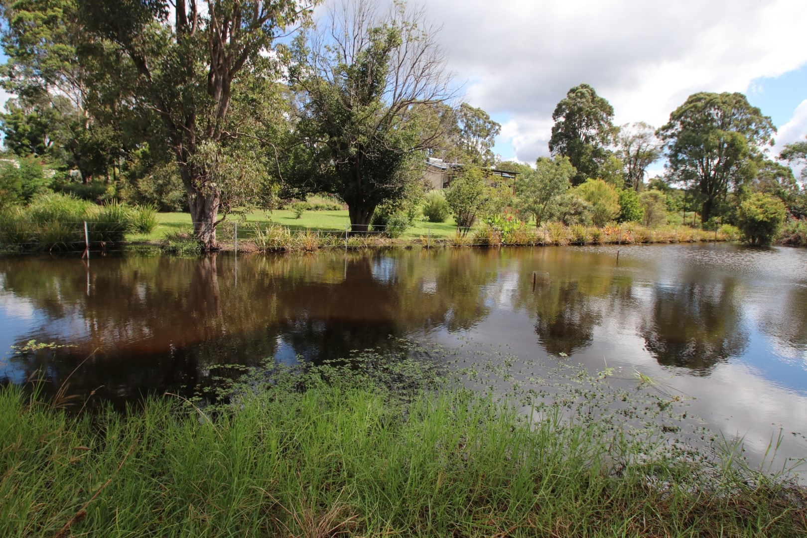 Sanctuary Profile: Babbler Cottage