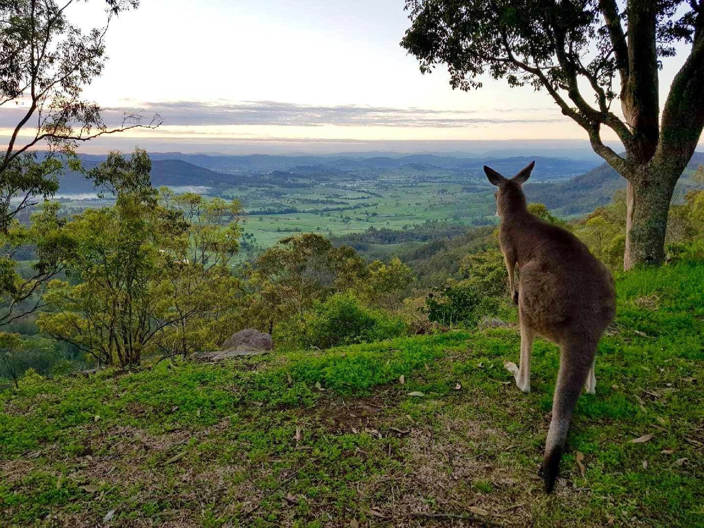 Katie view