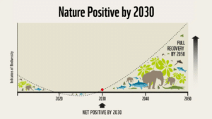 Nature Positive graph