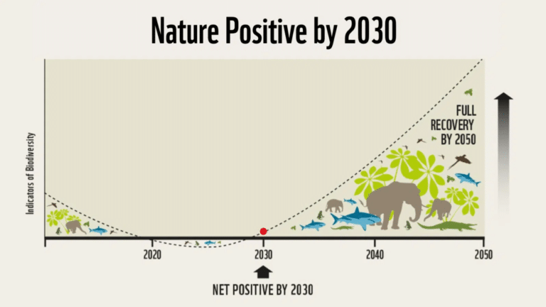 Nature Laws Explainer – What is ‘Nature Positive’? - Humane World for ...