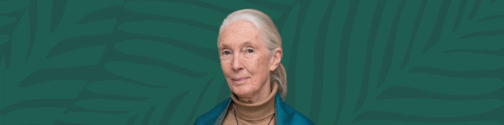 Honouring the life and legacy of Dr Jane Goodall DBE