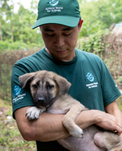 Humane World for Animals staff member holds a rescued puppy