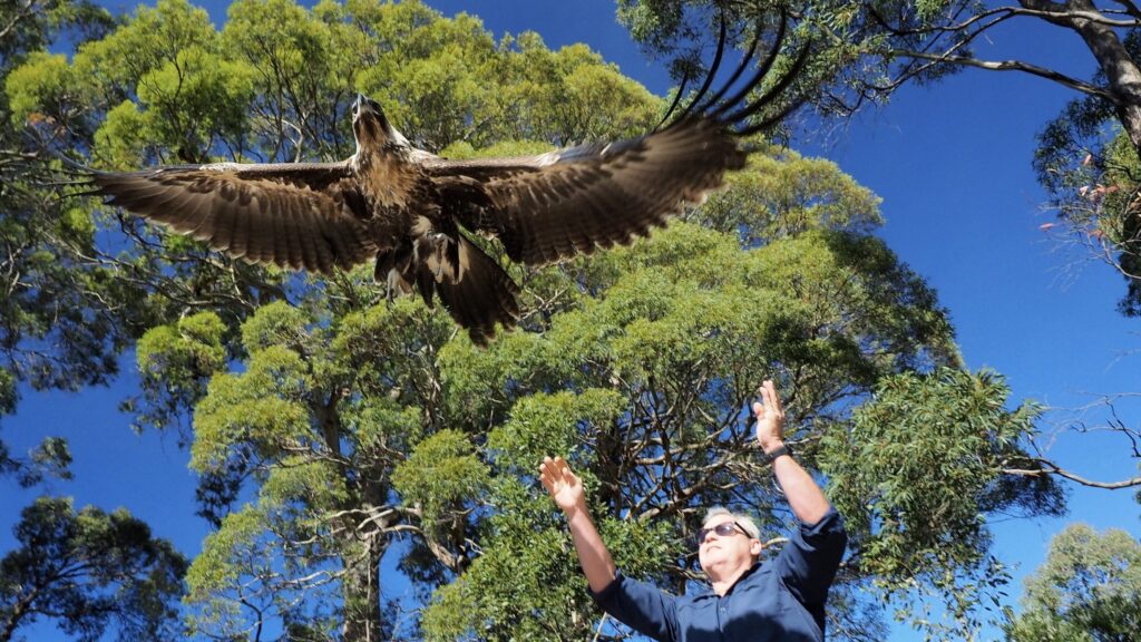 Raptor Refuge and Eagle Ridge Retreat