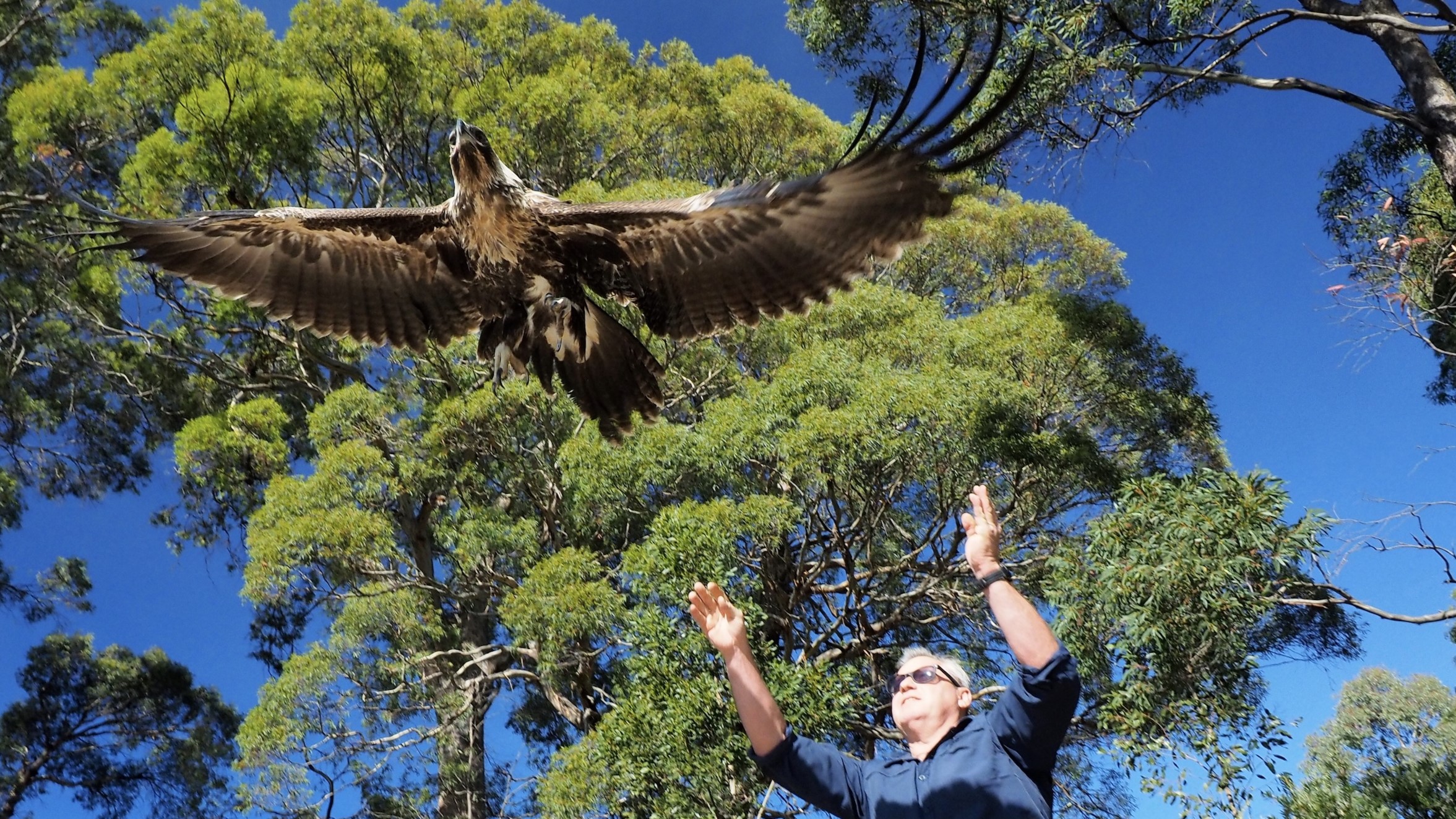 Raptor Refuge and Eagle Ridge Retreat
