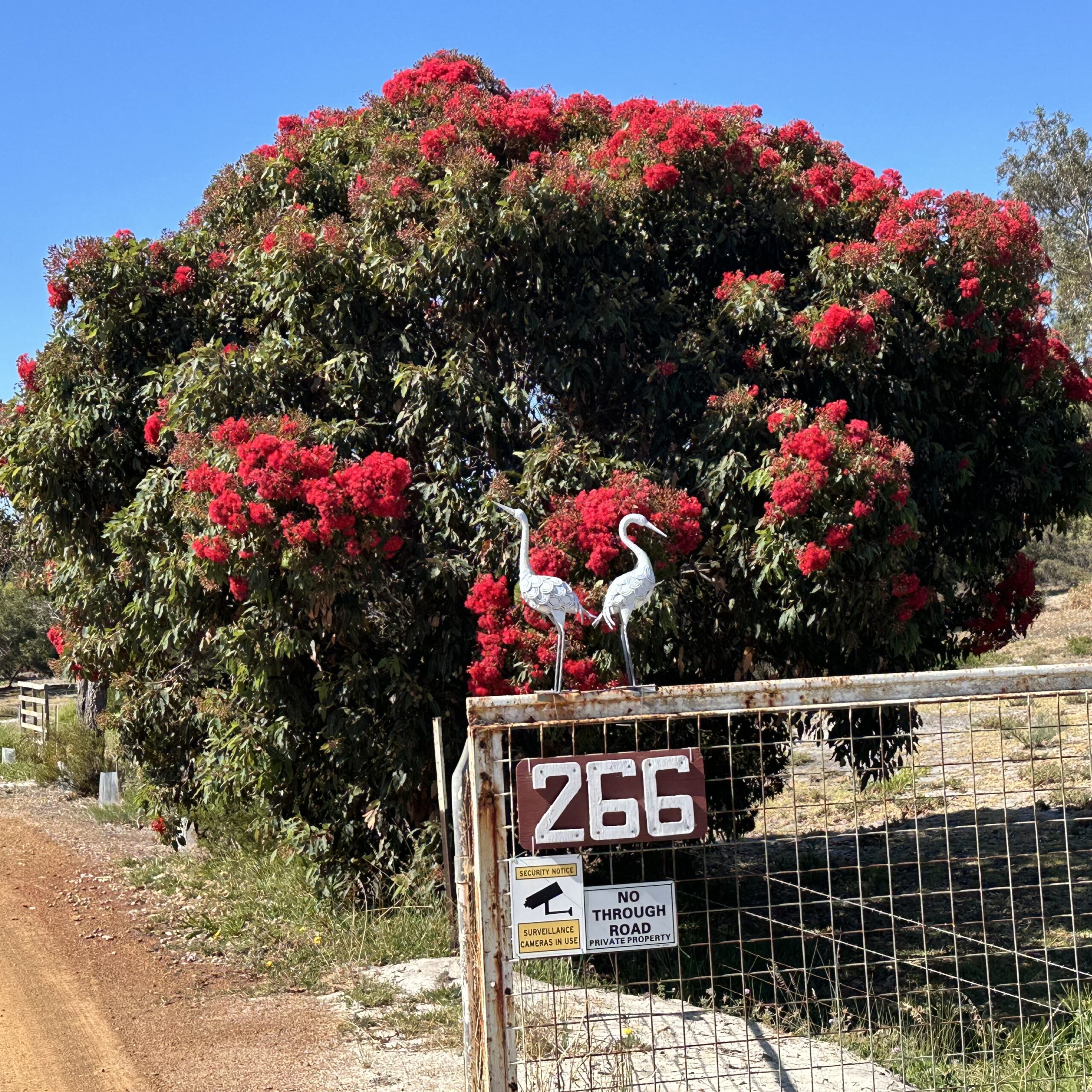 Sanctuary Profile: Esperance Wildlife Sanctuary Inc