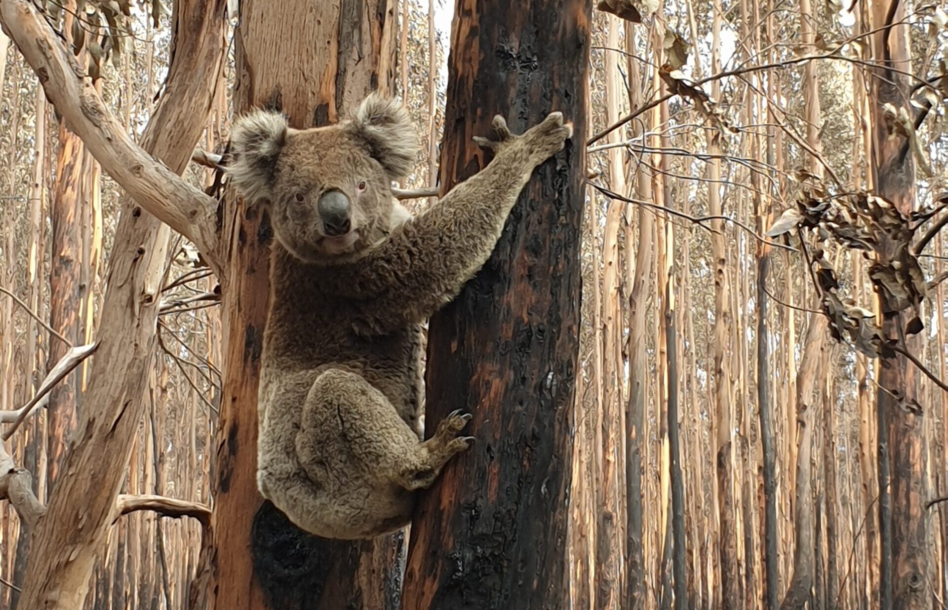 Risks outweigh gains in nature reform bills tabled today
