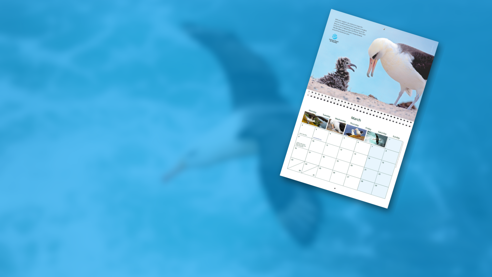 Calendar header image for website 1