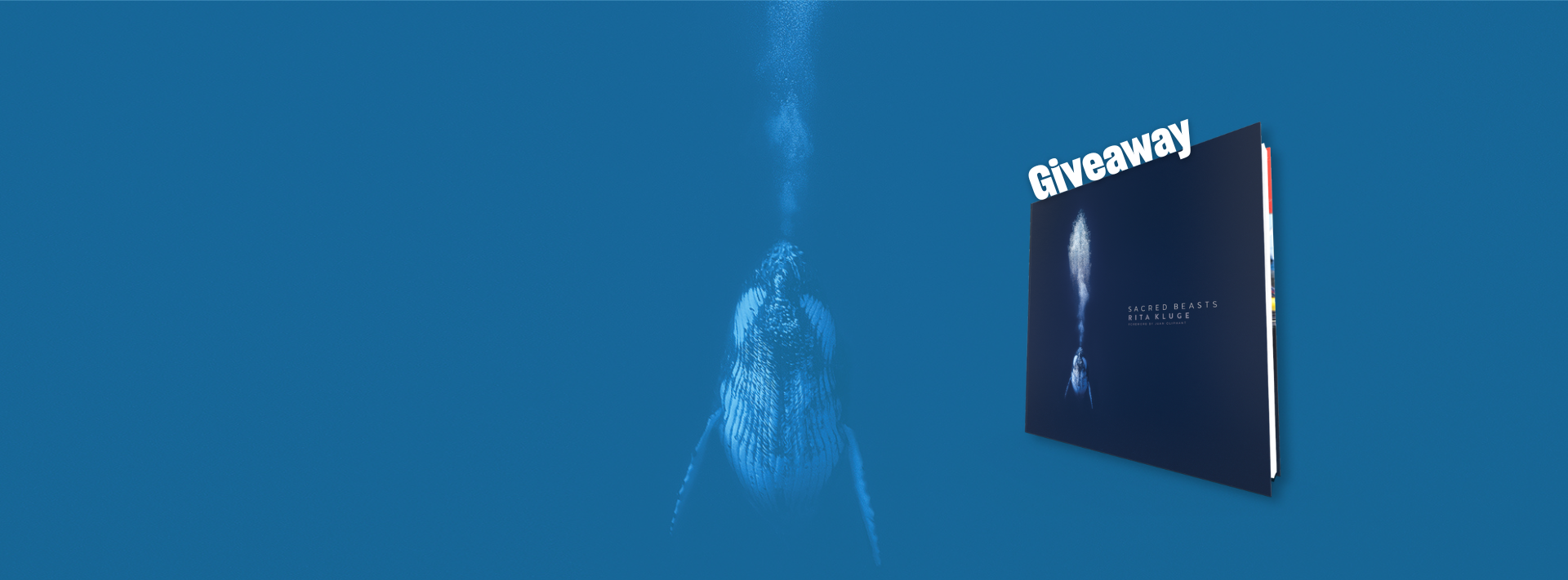 Rita Kluge Giveaway header