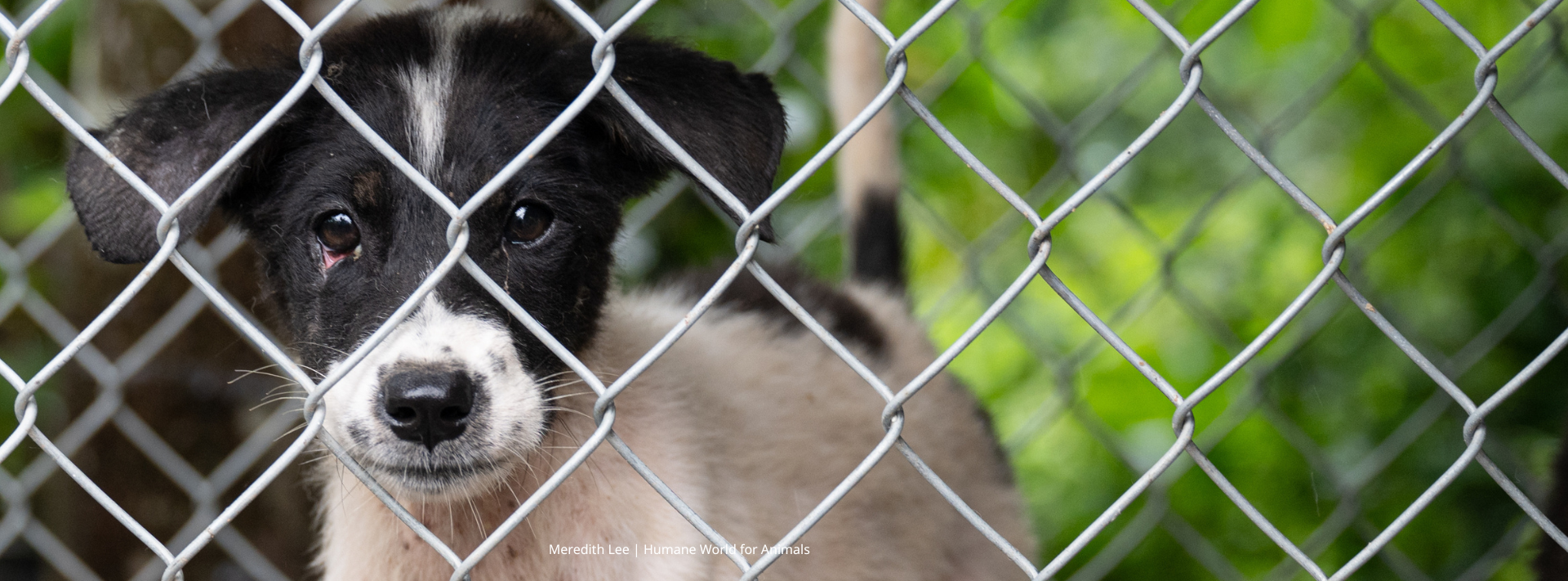 DRTV-donate-page (3)