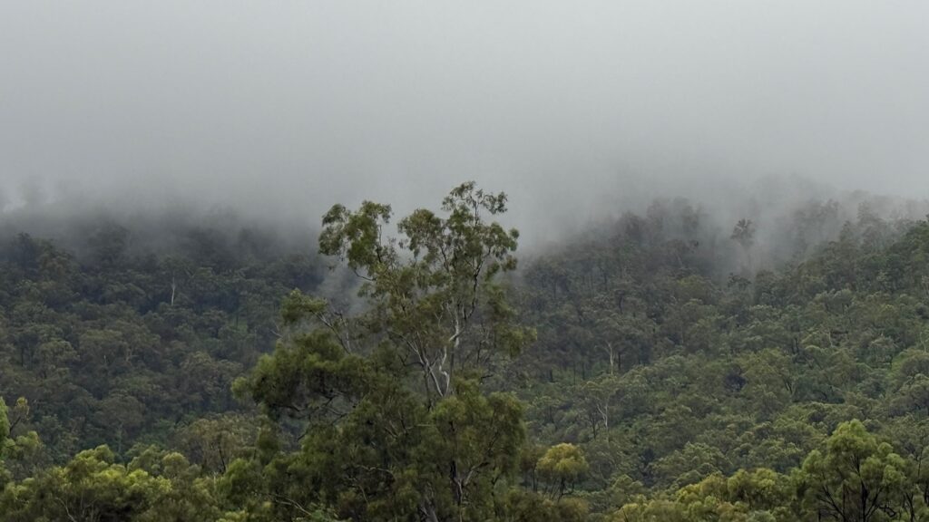 Lakes Creek Nature Refuge