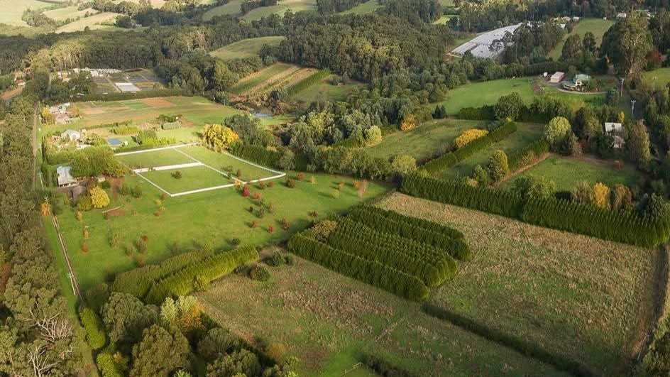 Bonnie Doon The Patch