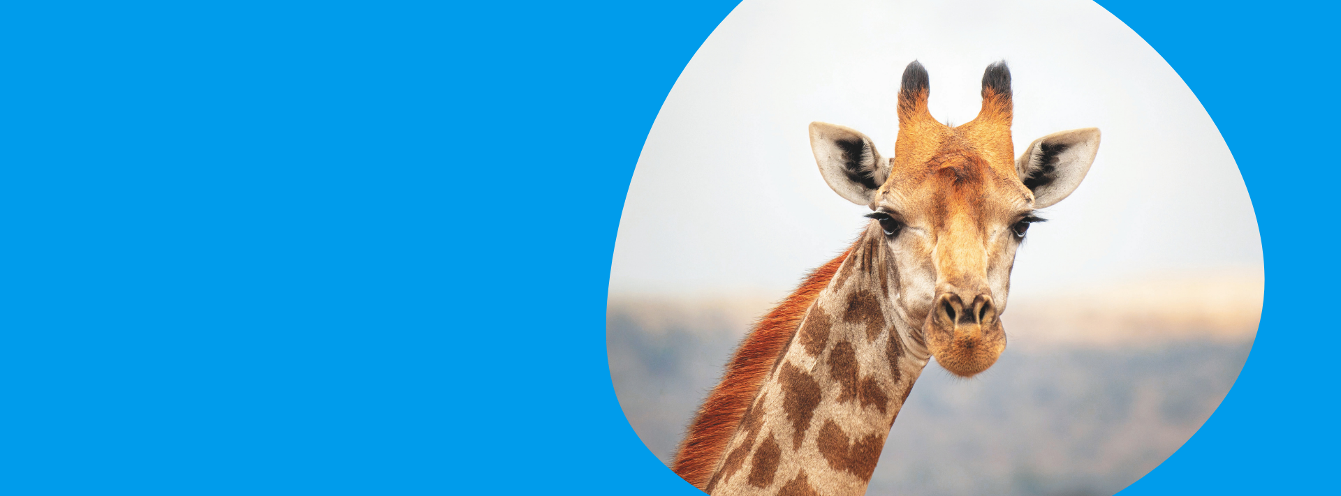 Website header images (1920 x 711 px) (4)