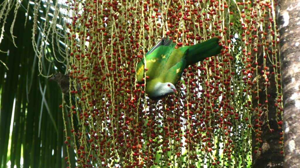Wild Wings and Swampy Things Nature Refuge