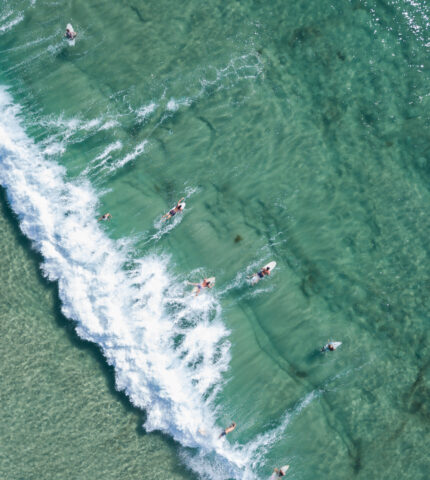 More drones for shark surveillance are a boost for public safety but shark nets counterproductive