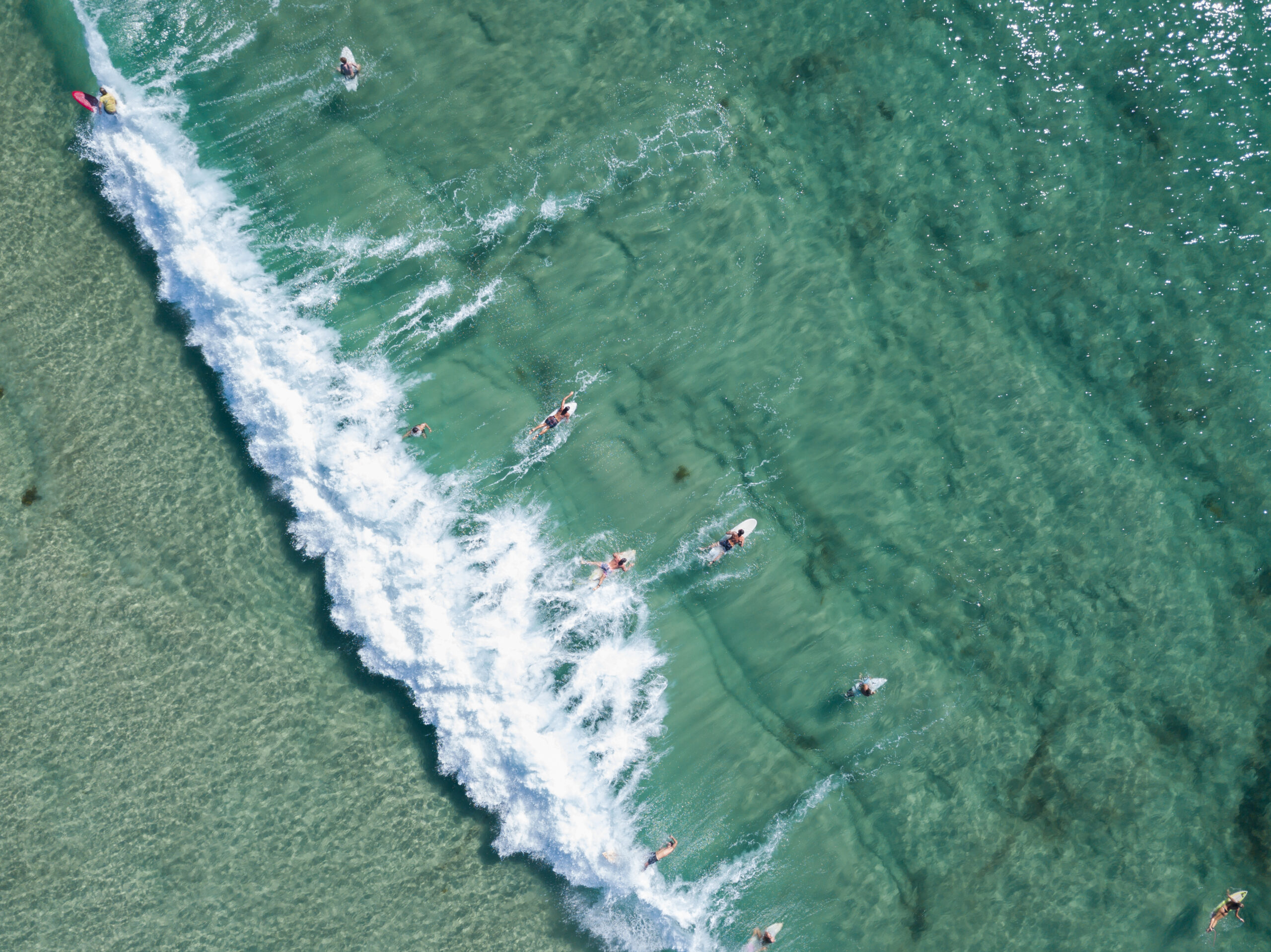 More drones for shark surveillance are a boost for public safety but shark nets counterproductive