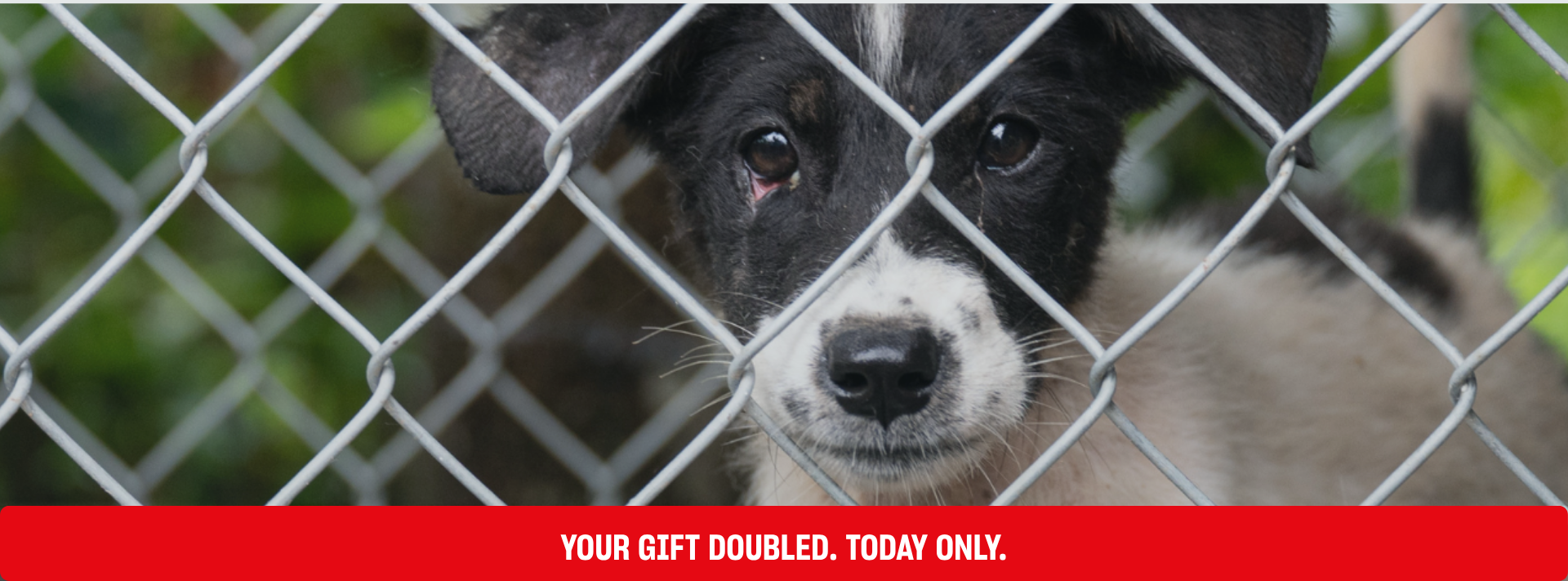 giving-day-web-banner-2026 (1920 x 711 px)