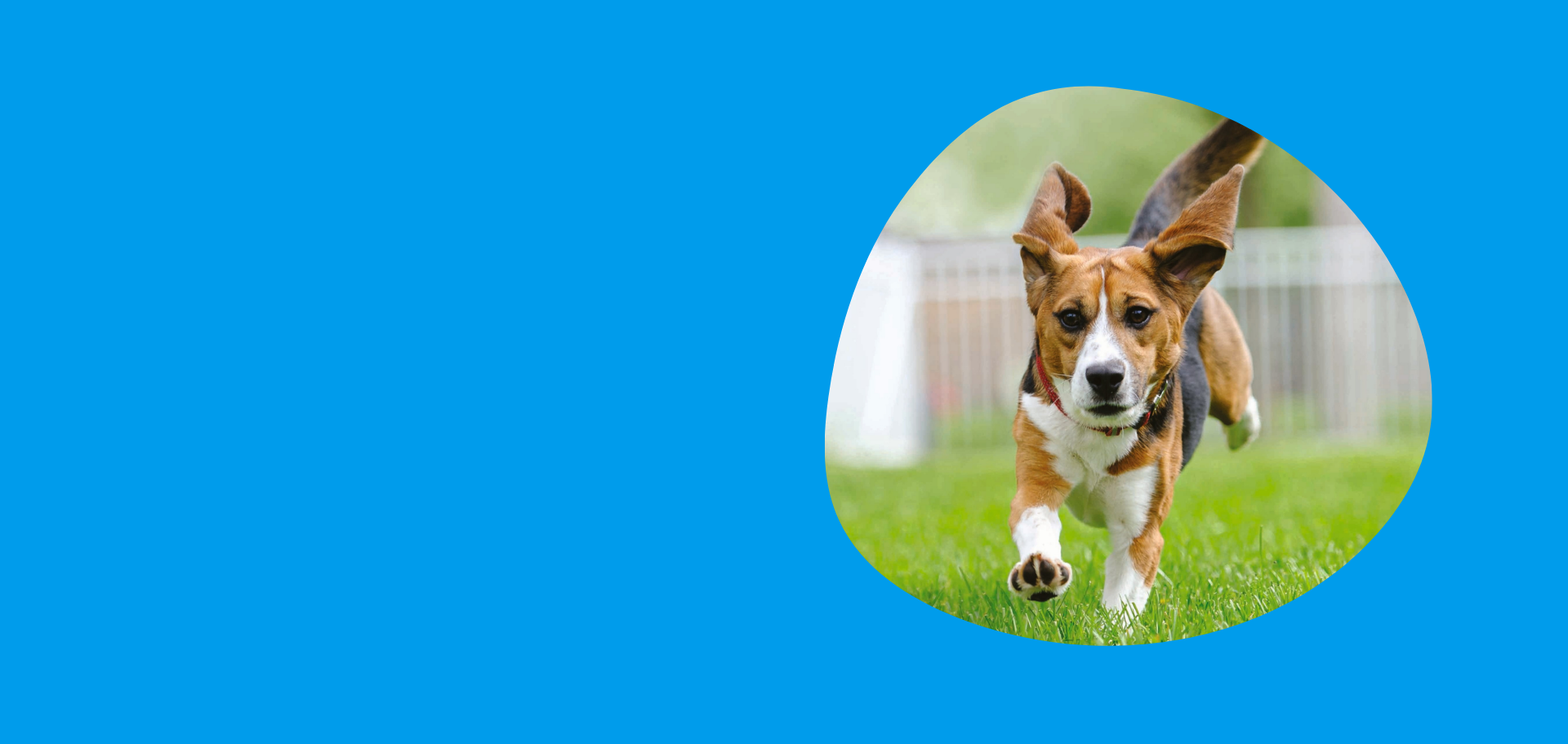 Newsletter_header_June_2026 (1)