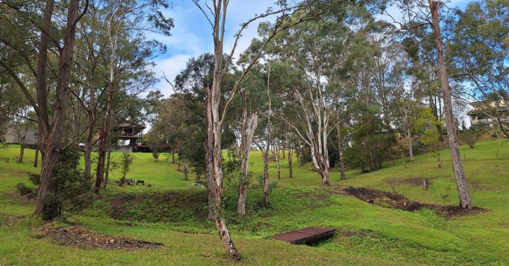 Cooinda
