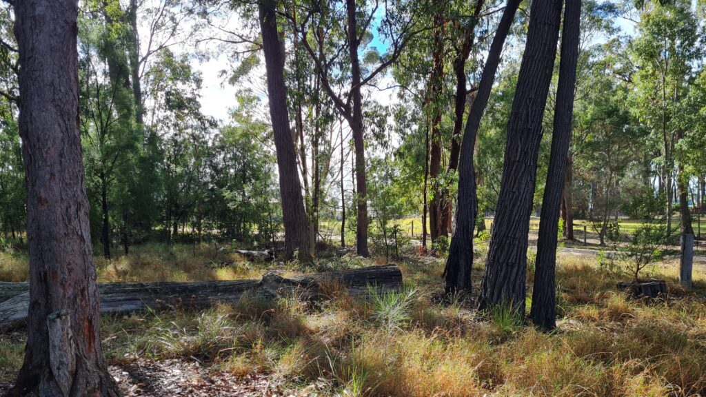 Corymbia Wildlife Sanctuary